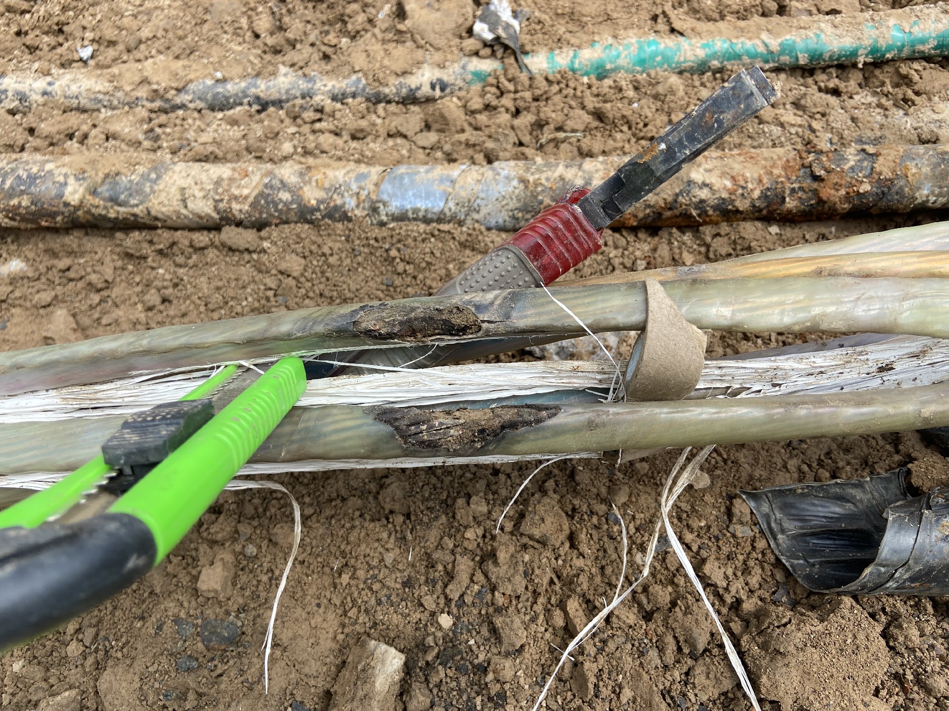 1659772768174450.jpg IMG_1894.JPG